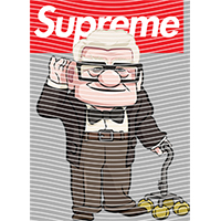 Brand Catalog-ZX 990